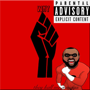 Why They Call Me a Nigga