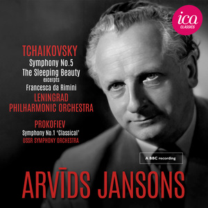 Symphony No. 1 in D Major, Op. 25 "Classical": IV. Finale. Molto vivace