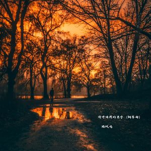 请呼唤我的名字 (钢琴曲)