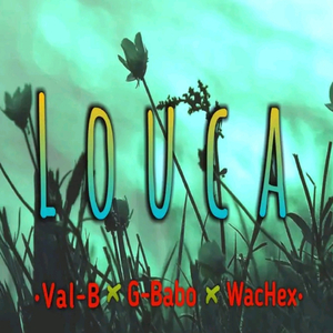 Louca