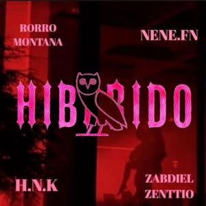 HibridroxH.N.Kx ZABDIEL ZENTTIO