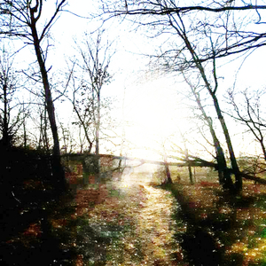 Пустая трапа