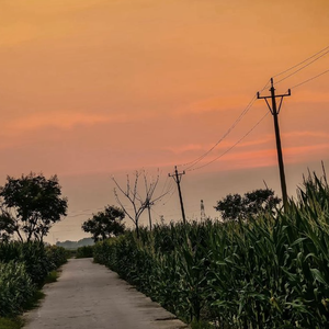 落日（feat.赤羽）