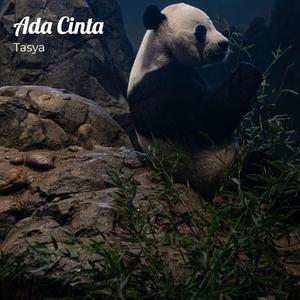 Ada Cinta