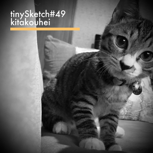 tinySketch #49