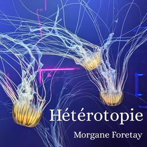 Hétérotopie