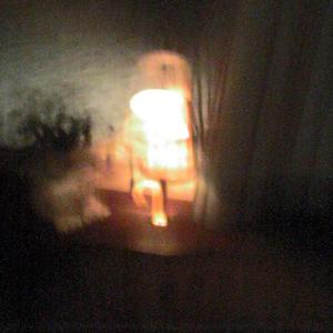 Strangers in the House