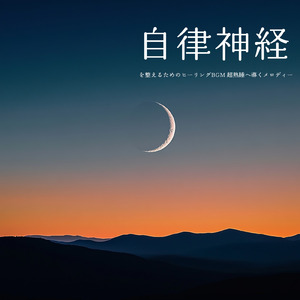 快眠へ誘う睡眠アンビ ストレス解消、不眠改善