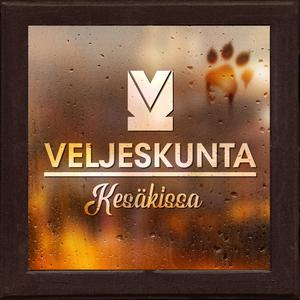 Kesäkissa