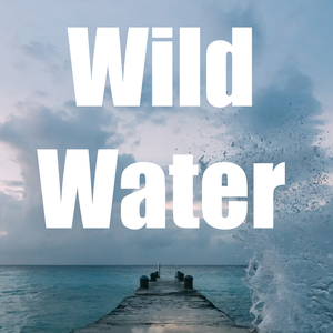 Existentialist Shore