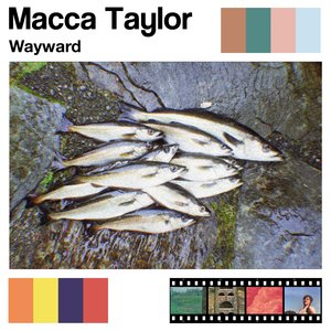 Wayward