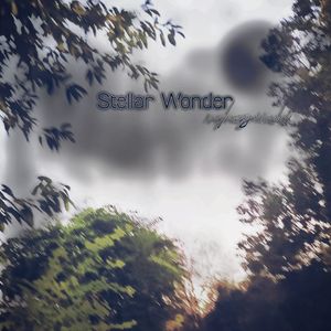 Stellar Wonder