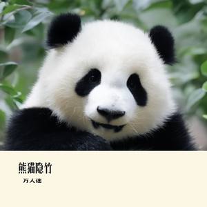 熊猫隐竹