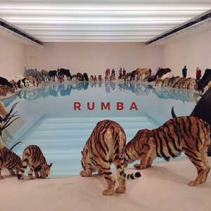 Rumba