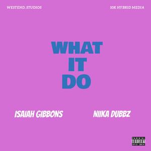 What It Do (feat. Niika Dubbz)