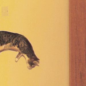 Balancing Act (Arbo Falls Remix)