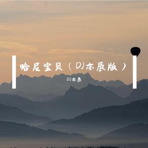 南征北战NZBZ-南征北战NZBZ-哈尼宝贝（DJ亦辰版）（DJ亦辰 remix）