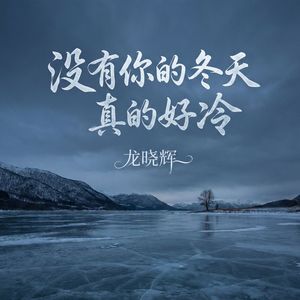没有你的冬天真的好冷