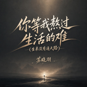 你等我熬过生活的难(生来没有通天路)