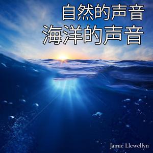自然的声音: 海洋的声音