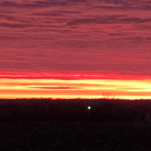 Amour de ma vie (Freestyle)