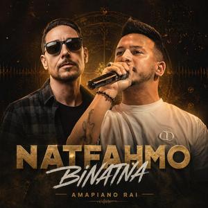 Netfahmo Binatna