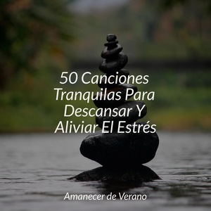 Brizas florecientes al atardecer