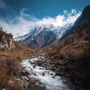 太和之木音 (降压安神睡眠饱)