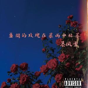 盛开的玫瑰在暴雨中枯萎（prod MEGA)