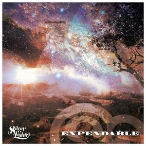 Expendable (feat. Nick Nowak) (Acoustic) (Acoustic)