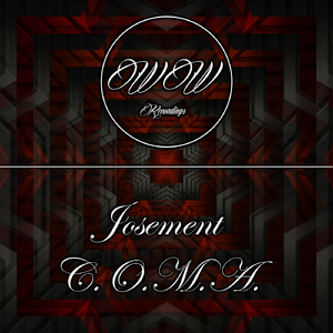 Increased Madness (Original Mix)