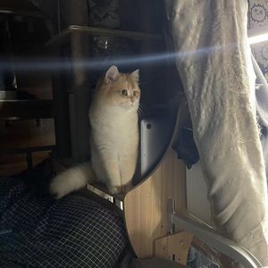 归于人海（prod by Yzz）