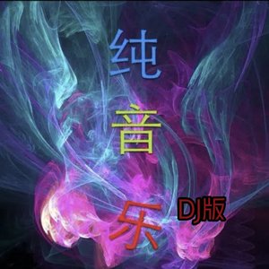 北国之春（二胡独奏版）