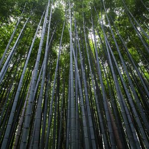 钢琴白噪音里的入眠序曲