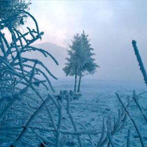 Cryophobia