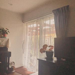 失去爱情的摩托车手