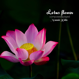 Lotus flower