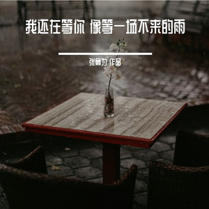 我还在等你 像等一场不来的雨