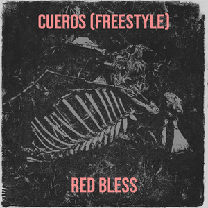 Cueros (Freestyle)