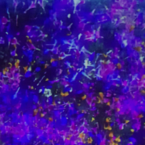 Before Falling Asleep