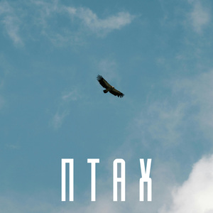 птах (Нова версія)