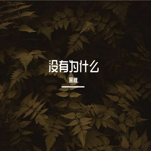 没有为什么