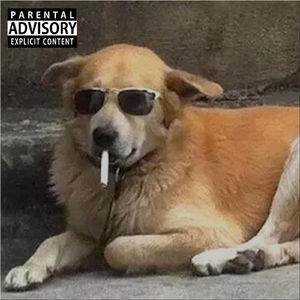 El temita de Arturo Prat