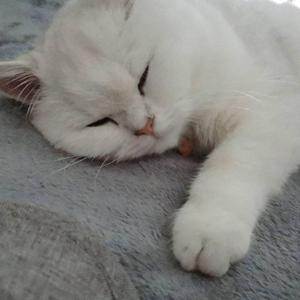 漠河舞厅