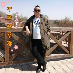 不老的草原 (Remix)