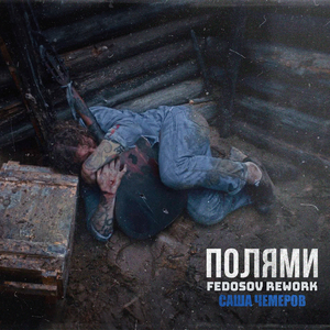 Полями (Fedosov rework)