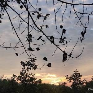 微不足道的小事是我还爱着你