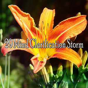 暴风雨前的平静