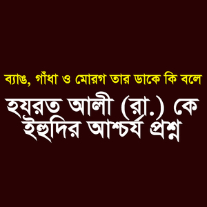 ব্যাঙ, গাধা ও মোরগ তার ডাকে কি বলে হযরত আলী (রা.) কে ইহুদির আশ্চর্য প্রশ্ন