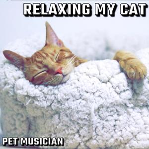猫的音乐
